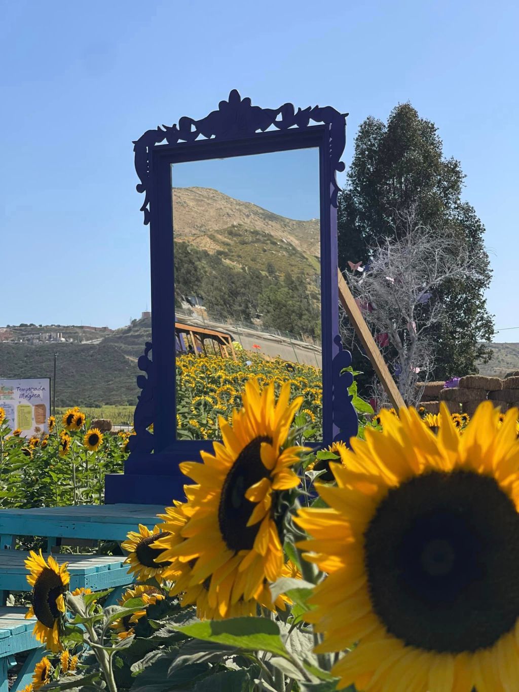 Ultimas semanas de temática Alicia en el País de la Maravillas en El Mictlàn&nbsp;Tijuana