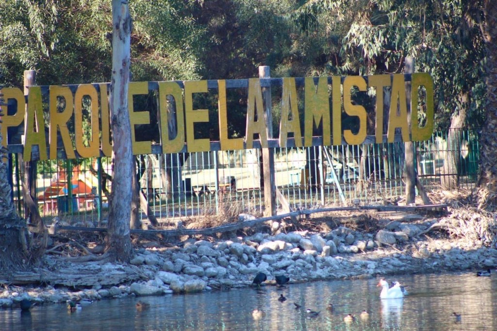 Realiza XXV Ayuntamiento de Tijuana acciones de limpieza y mantenimiento en el lago del Parque de la&nbsp;Amistad