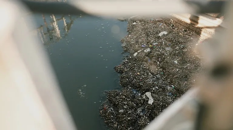 La basura se acumula a un costado de un arroyo en un cañón de Tijuana. Foto de Dennis Wagner.
